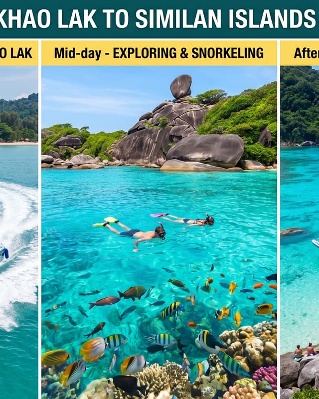 One day trip khao lak to similan island by speed boat