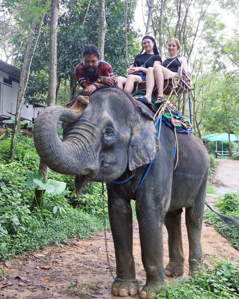 Elephant 30min and ATV 200cc 1 Hr. - adventure Thailand - Image 1