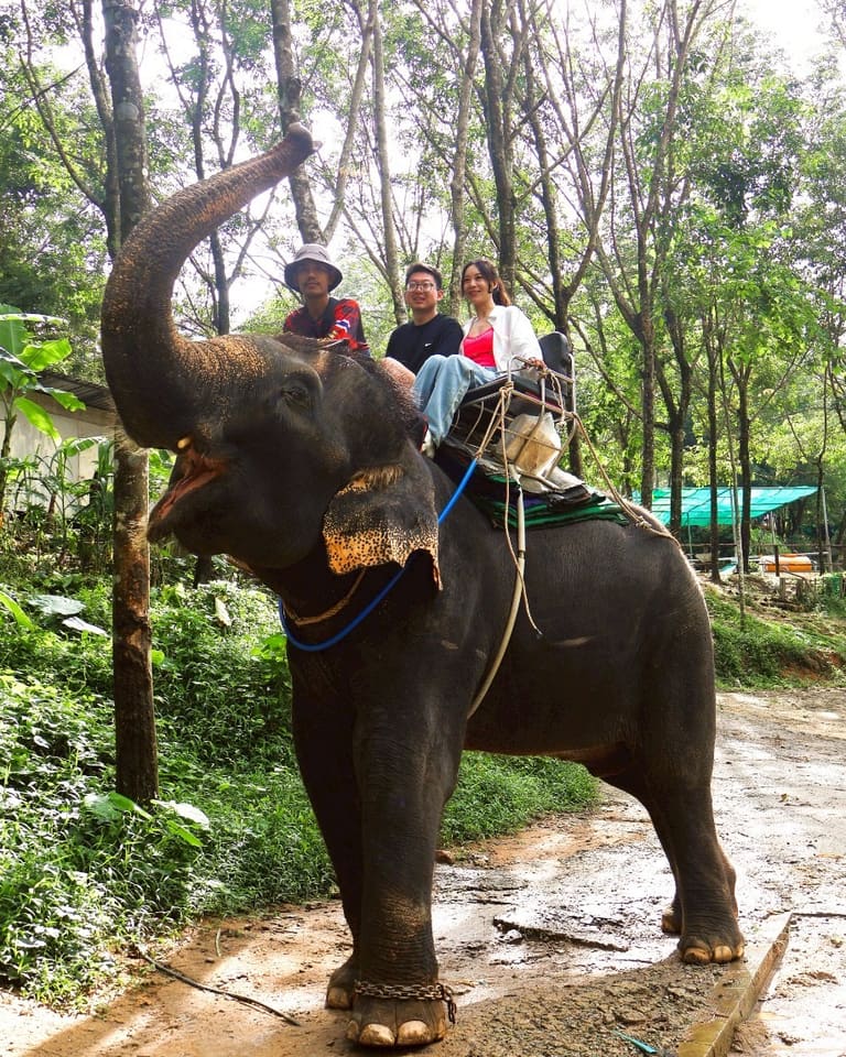 เอเลเฟ่นท์ 30นาที และ เอทีวี  1 ชม. - การผจญภัยประเทศไทย - รูปภาพ 1