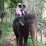 Elephant 30min and buggy 1 hr - adventure Thailand - Image 2