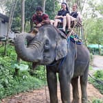 Elephant 30min and Zipline 20 and buggy 1 hr - adventure Thailand - Image 3